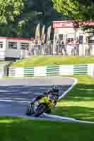Advanced Group Yellow Bikes